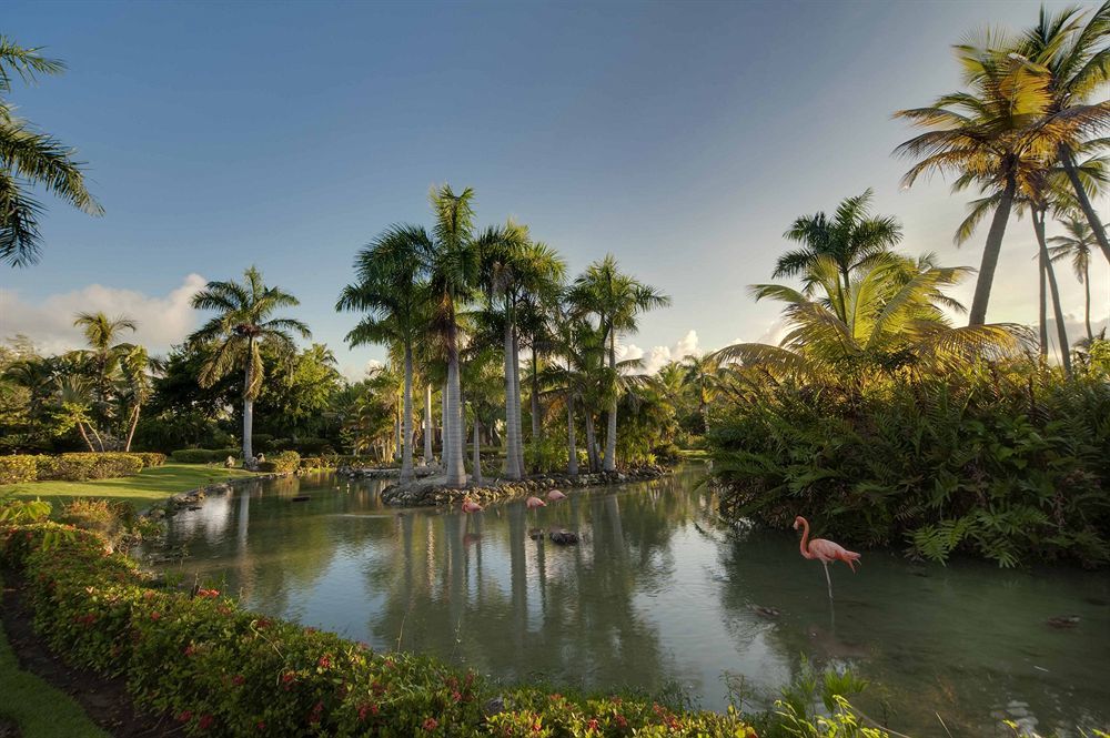 The Level At Melia Caribe Beach (Adults Only) プンタ・カナ エクステリア 写真
