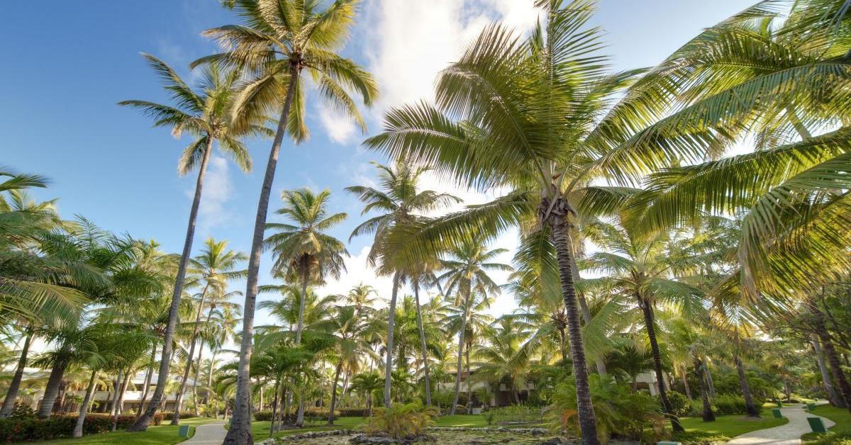 The Level At Melia Caribe Beach (Adults Only) プンタ・カナ エクステリア 写真